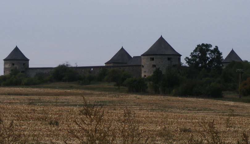 Bzovik castle ruin
