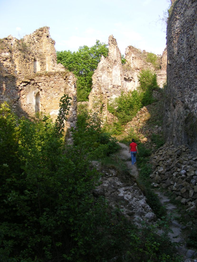 Sasov castle
