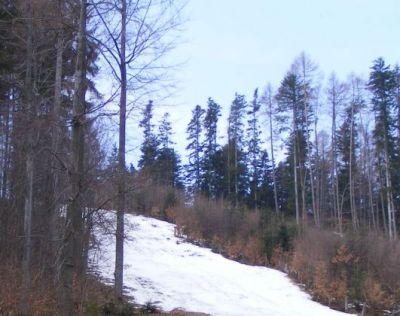 Lyžiarsky vlek pri Chate nad Tajovom