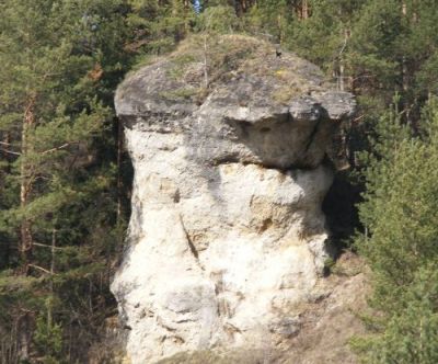 Ľupčiansky skalný hríb