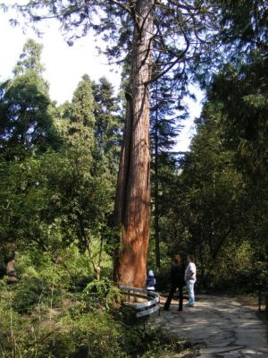 Arborétum Mlyňany