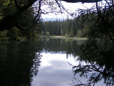 Vrbické pleso
