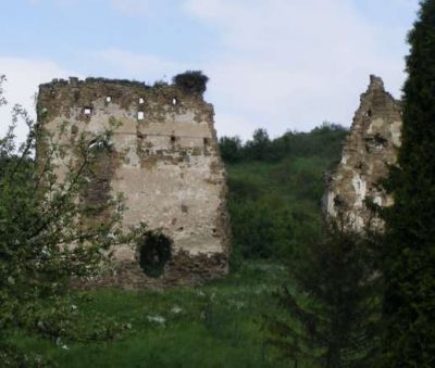 Ruin of Holumnicky castle