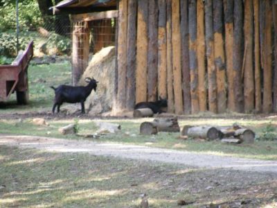 Zvieracia obora pri Čertovej peci