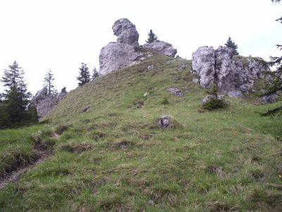 vrch Tlstá 1373m