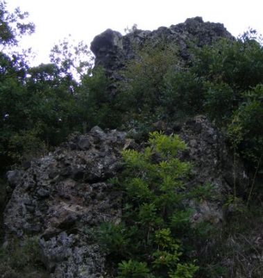 Turovský sopúch