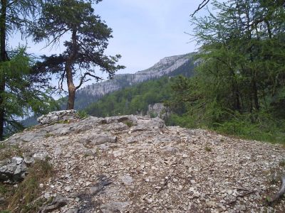 Vrch Muráň - výhľad na vrch Tlstá (1000 m)