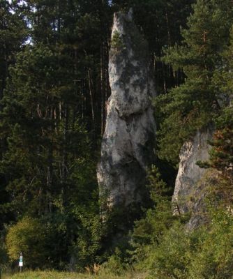 Poluvsianska skalná ihla