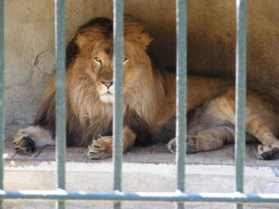 ZOO Spišská Nová Ves