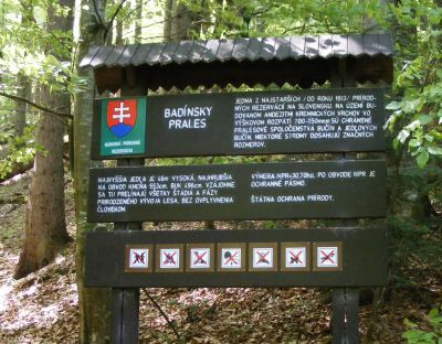 Badínsky prales