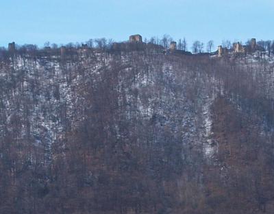 Šarišský hrad
