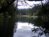 Vrbické pleso