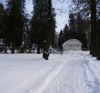 ubytovanie ilina - Rosina okolie Nrodn cintorn