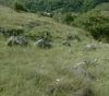 Kečovské škrapy